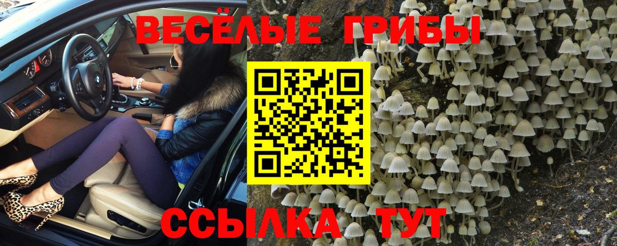 Псилоцибиновые грибы Magic Shrooms  Вход с VPN  Псилоцибиновые грибы Psilocybine cubensis  Шебекино 